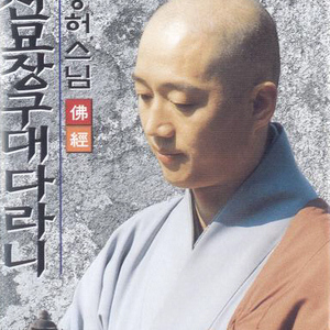 신묘장구대다라니1