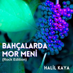 Bahçalarda Mor Meni (Rock Edition)