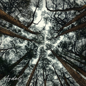 Tangkal Cedar