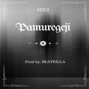 Pamuregeji