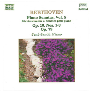 Piano Sonata No. 5 in C Minor, Op. 10, No. 1:III. Finale: Prestissimo