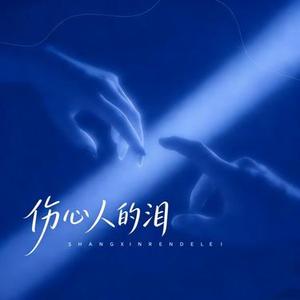 伤心人的泪  (女版) (Cover 韩小欠)