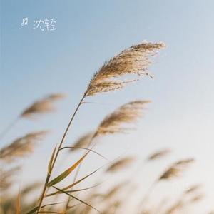 风过