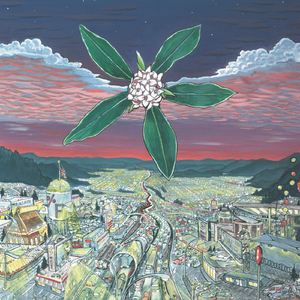 Window (Mirror) Shadow