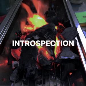 Introspection