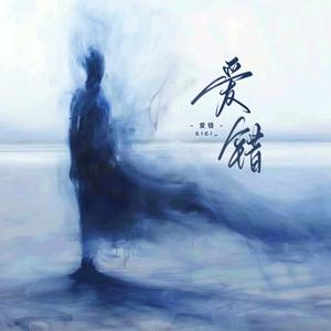 爱错1.2x (释怀版)