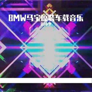 宝马 - bmw 原装车载 cd 全英文慢摇舞曲串烧（DJ小李 remix）