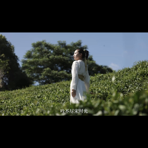 《宋韵》男声版-陈韬演唱