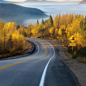 日子全都喂给了猫