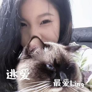 逃爱(DJ王漂亮版)