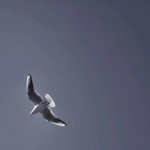 Joy Gruttmann-Schnappi（9ix remix）