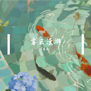 雾区漫游
