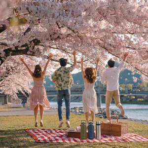 モノクロの彩-春の訪れ-