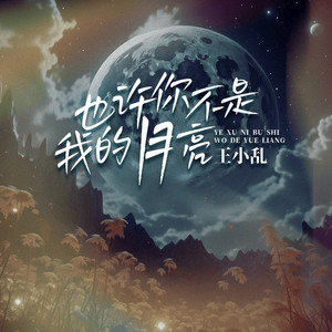 也许你不是我的月亮