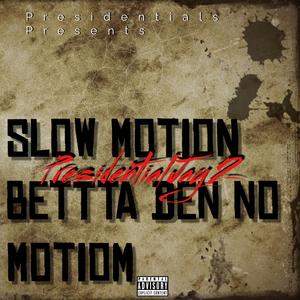 Slow Motion Betta Den No motion
