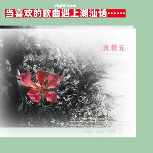 我真的受伤了(潮语版)cover王菀之