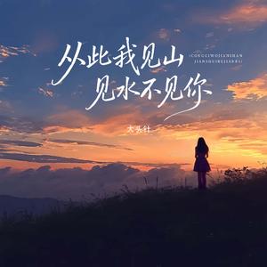 从此我见山见水不见你