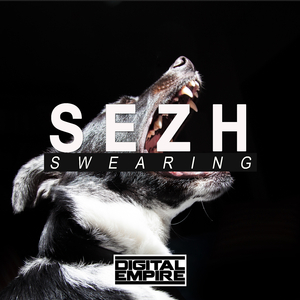 Swearing (Original Mix)