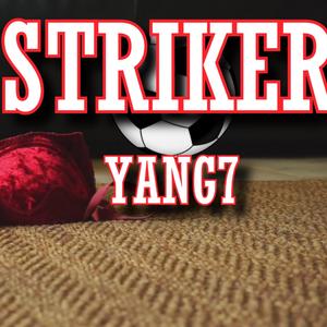 Striker