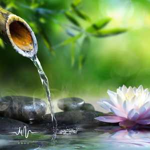 水修禅 (顺其自然)