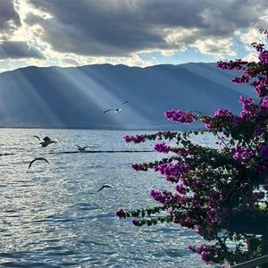 不为烦恼 偷走幸福