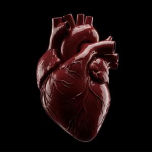 swimming up the stairs