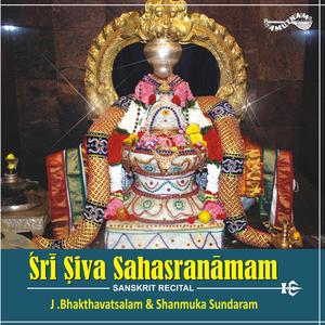 Sri Sivasahasranama Stotram