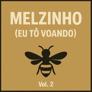 Melzinho (Eu tô Voando) Vol. 2