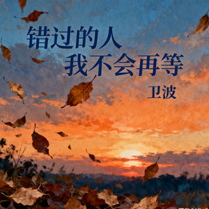 错过的人我不会再等(伴奏)