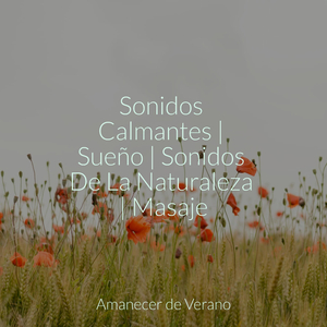 Melodías del Crepúsculo del Mar