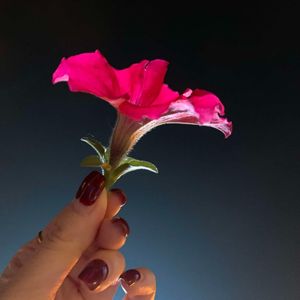 匆匆的来-无为
