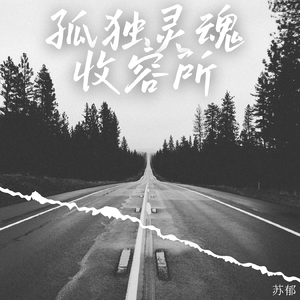 孤独灵魂收容所