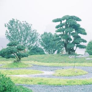 幼儿园の日常 - 八音盒