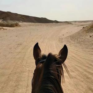 下雪哈尔滨（DJ鼓版）