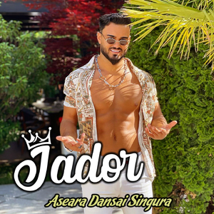 Aseara Dansai Singura