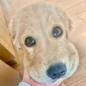 Got to Move (slowed)