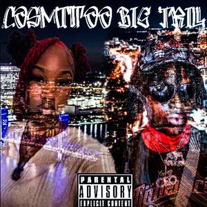 Multifaceted (feat. Cosmittoo)