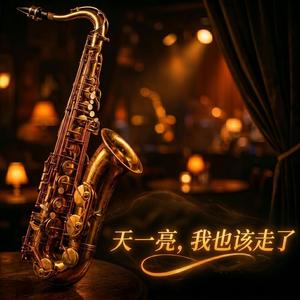 天一亮我也该走了
