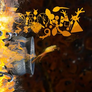 Sexterity (Displaying Hyperolius Viridiflavus Sequential Hermaphroditism When There Is No Gender Sufficiency)