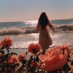 海辺の花