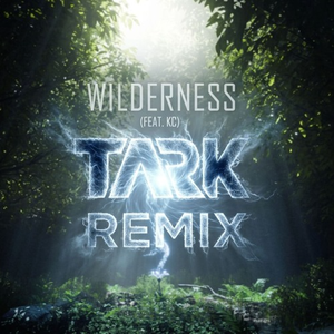 Wilderness (feat. KC) [TARK Remix]