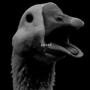 Goose