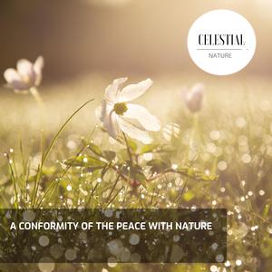 Wishful Mountain Night