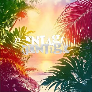 MONTAGEM CONTIGO！