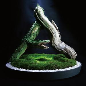 リアリティーのダンス (feat. 初音ミク)