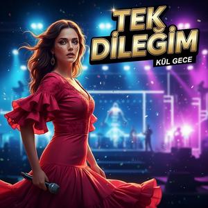 Tek Dileğim