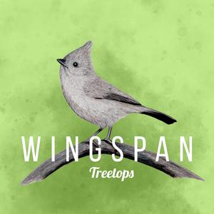 Treetops (Wingspan Original Video Game Soundtrack)