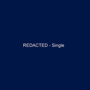 Redacted (Instrumental Mix)