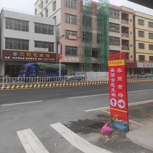 心与心的奔赴(国语版)