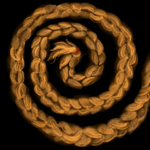 Коса (Version 2)